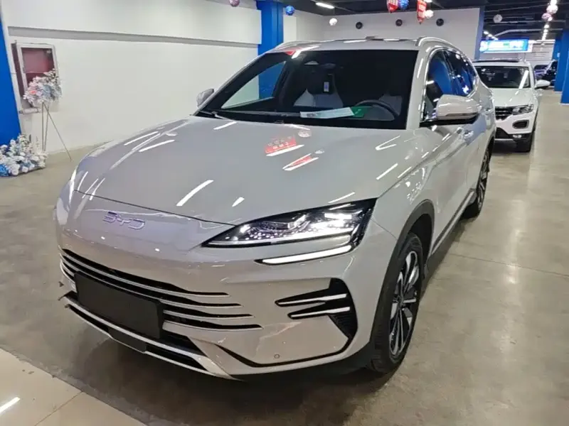 BYD PLUS New Energy, 2024