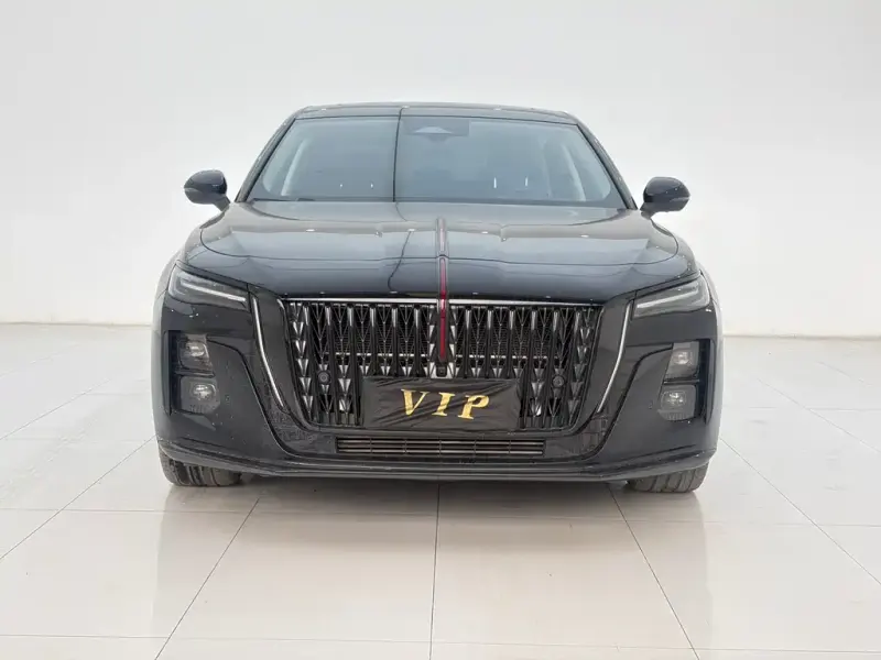 Hongqi H5, 2025