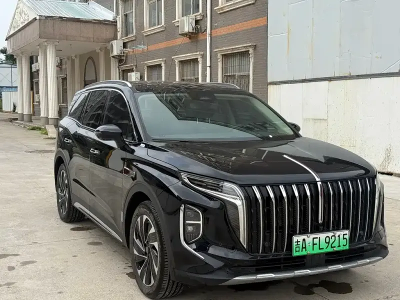 Hongqi HS7, 2024