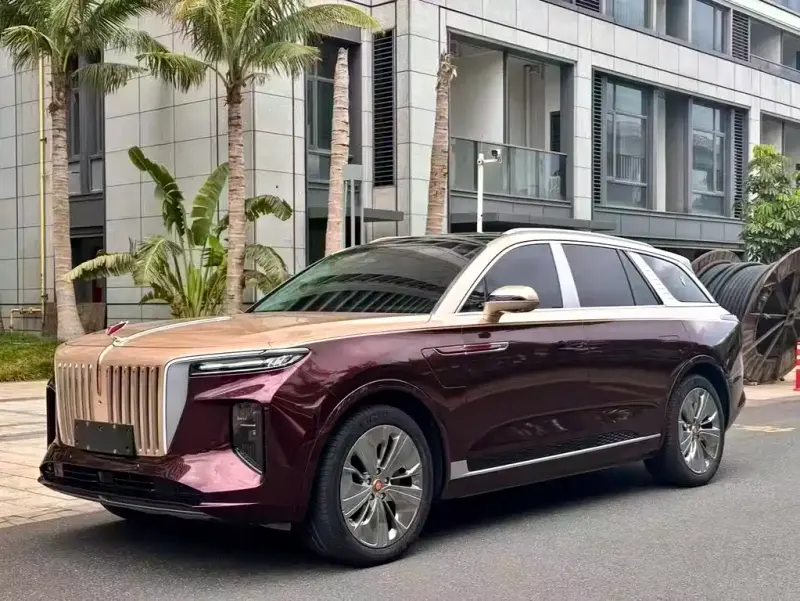 Hongqi E-HS9, 2021