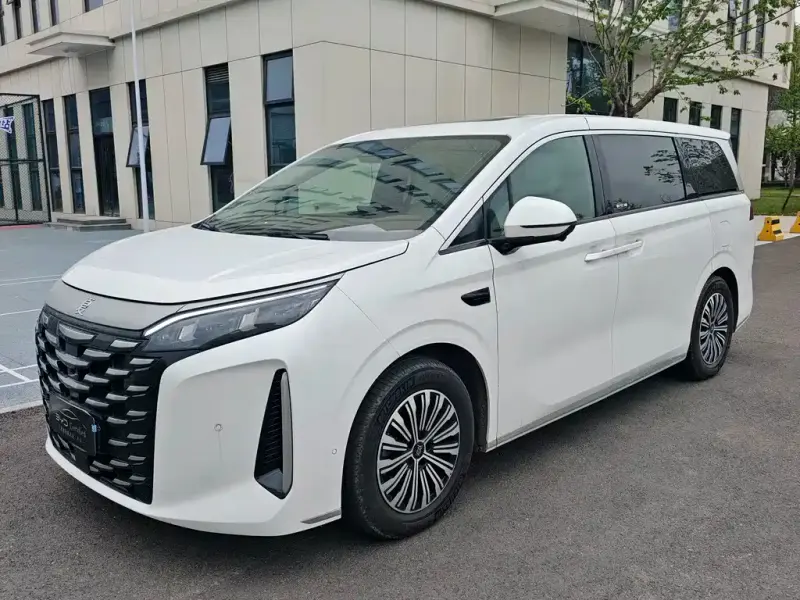 BYD Xia, 2025