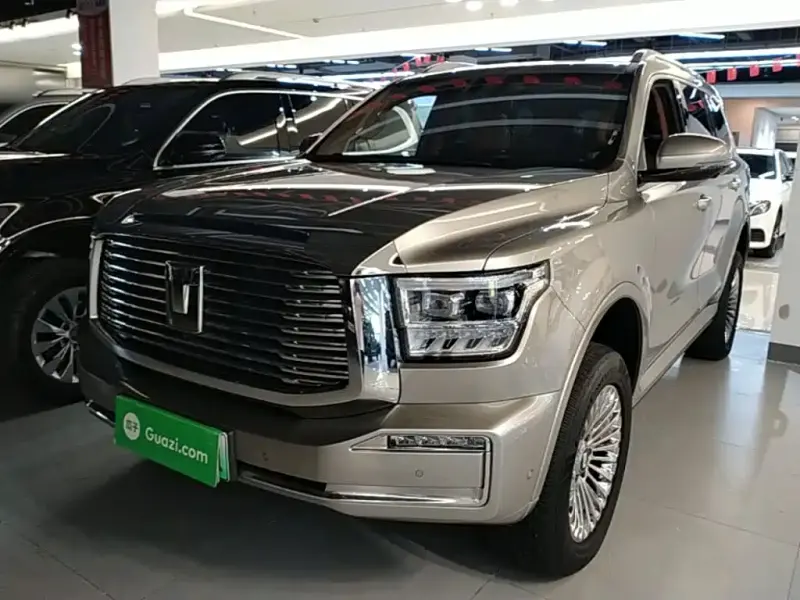 Tank 500 New Energy, 2024
