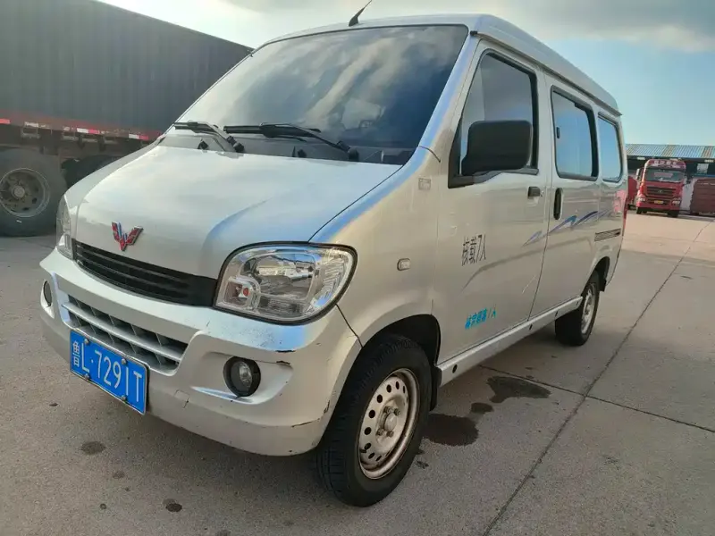 Wuling Zhiguang, 2019