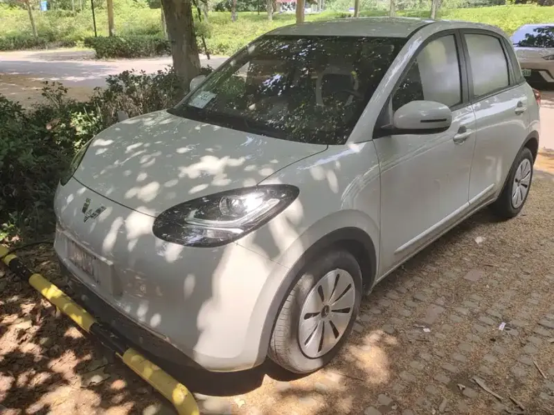 Wuling Bingo, 2023