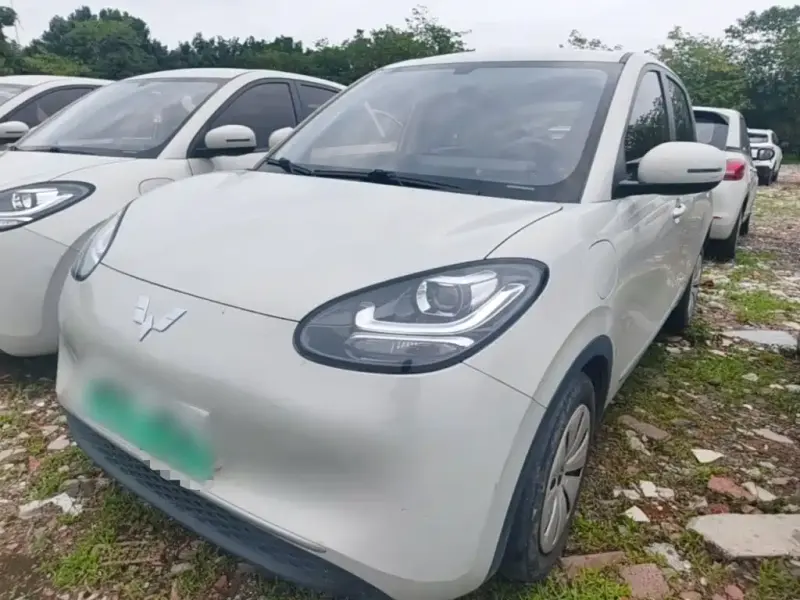 Wuling Bingo, 2023