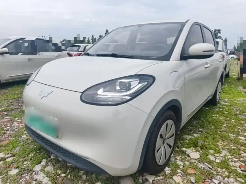 Wuling Bingo, 2023