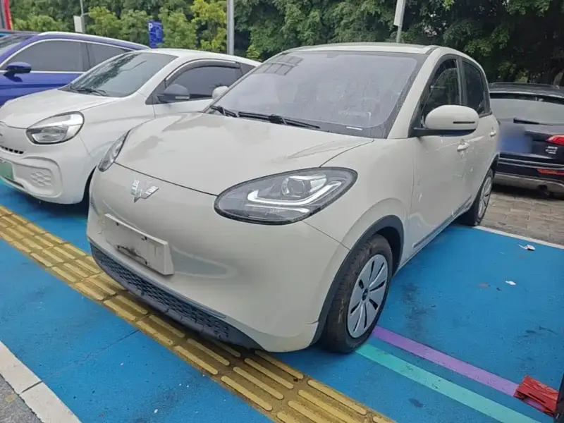Wuling Bingo, 2023