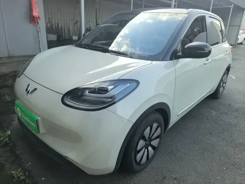 Wuling Bingo, 2023