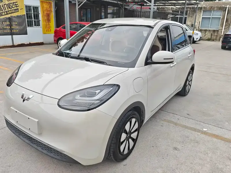 Wuling Bingo, 2023