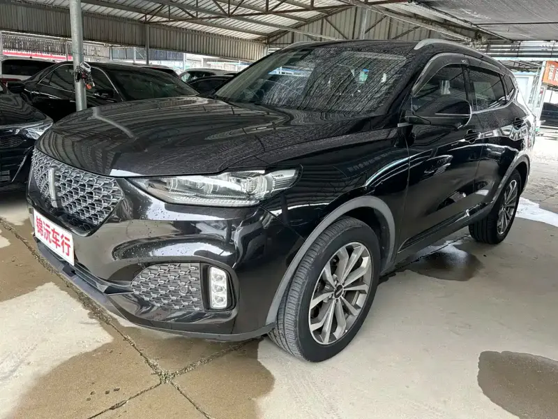 Wey VV6, 2020