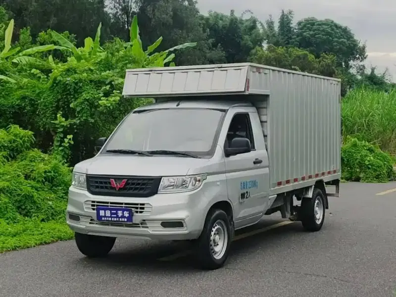 Wuling Rongguang New Truck, 2022