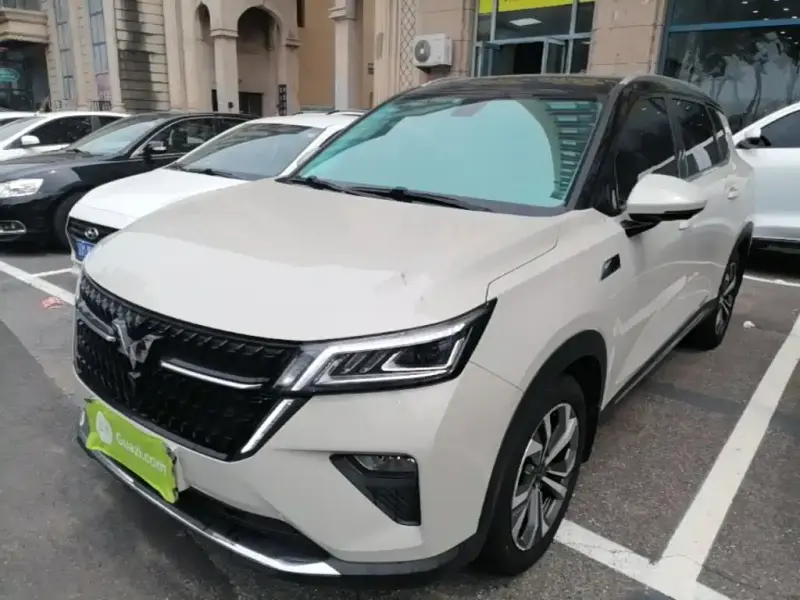 Wuling Xingchen, 2021