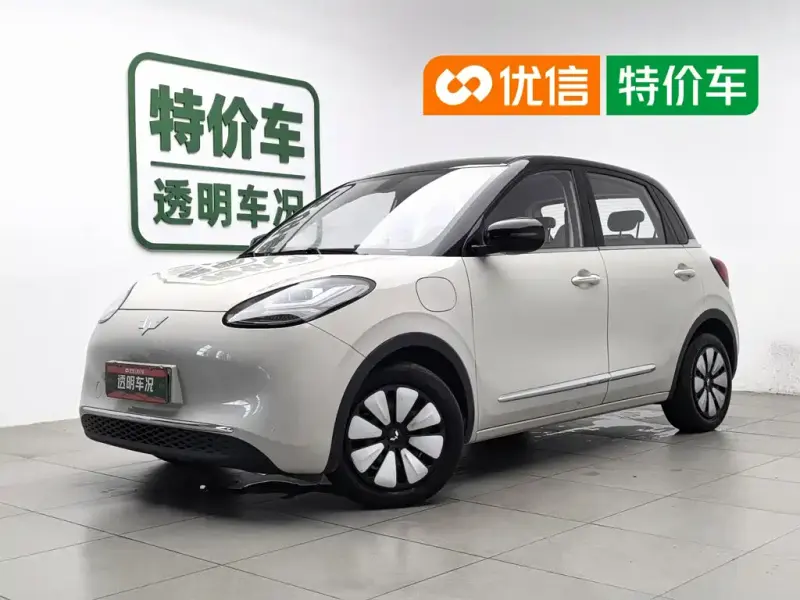 Wuling Bingo, 2024