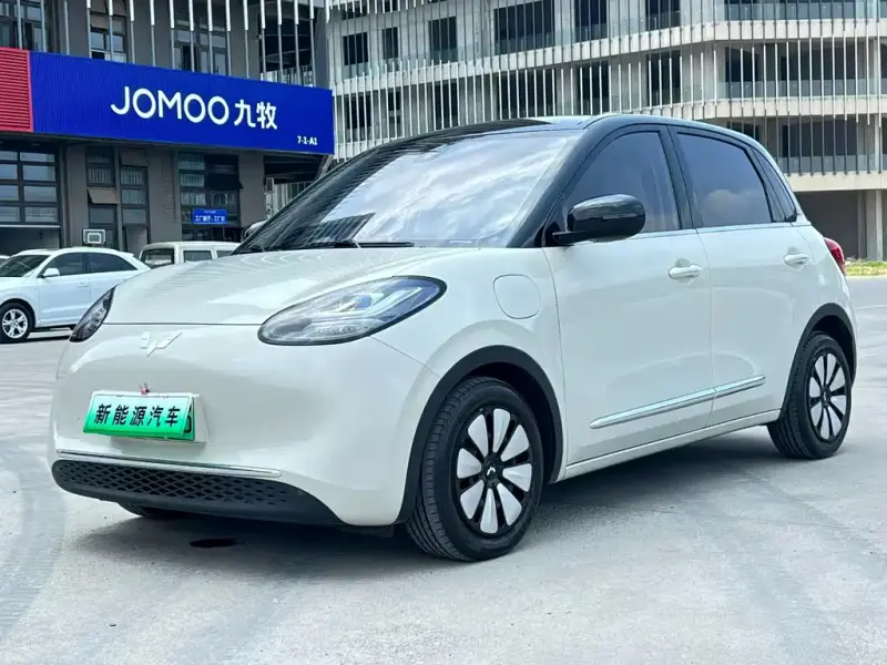 Wuling Bingo, 2023