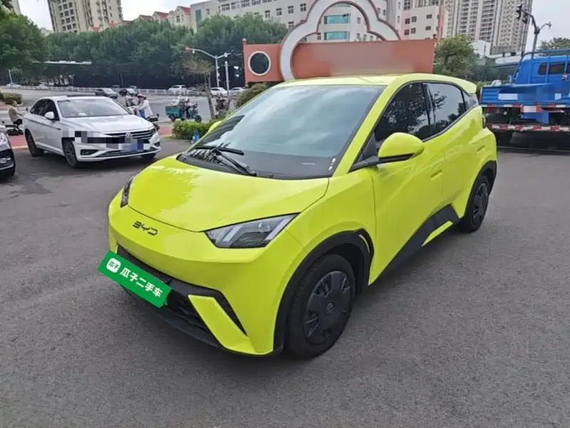 BYD Seagull, 2024