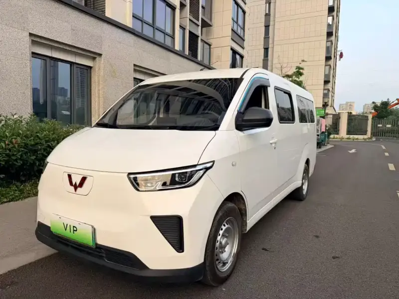 Wuling Yangguang, 2024