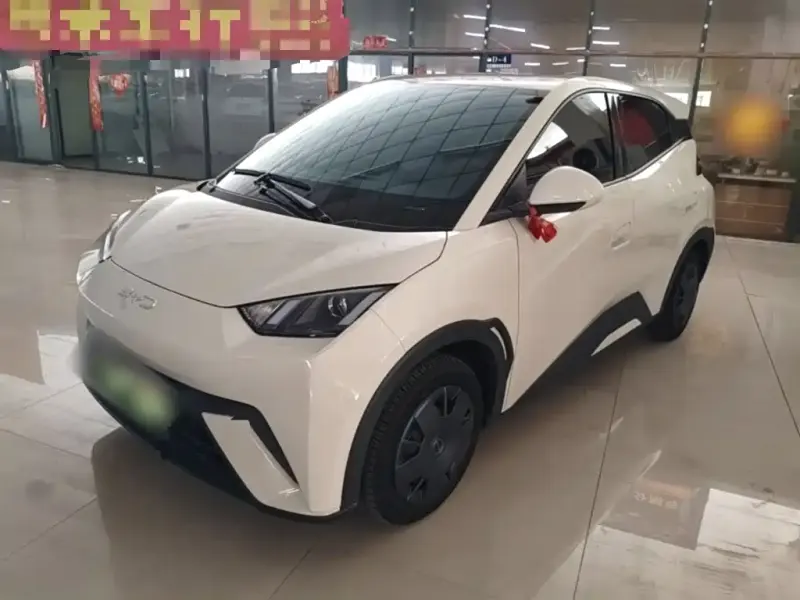 BYD Seagull, 2024