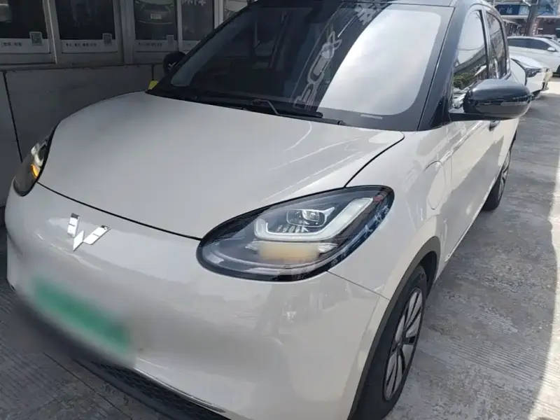 Wuling Bingo, 2024
