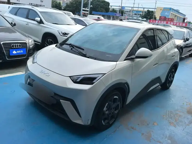 BYD Seagull, 2024