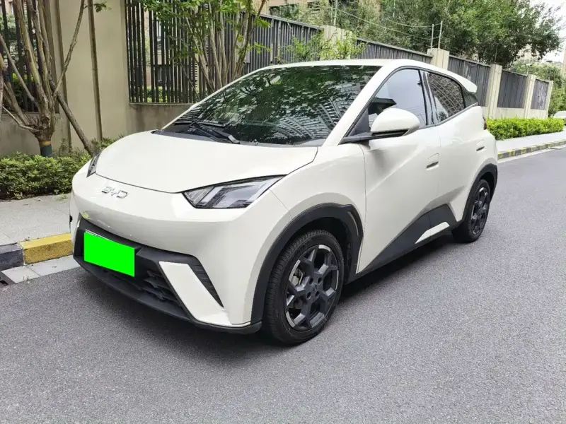 BYD Seagull, 2024