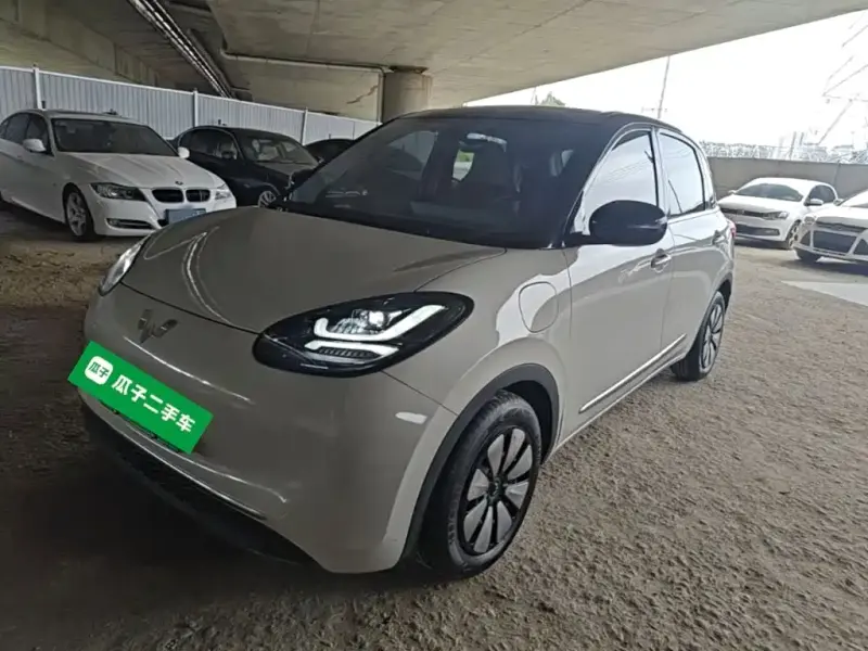 Wuling Bingo, 2024