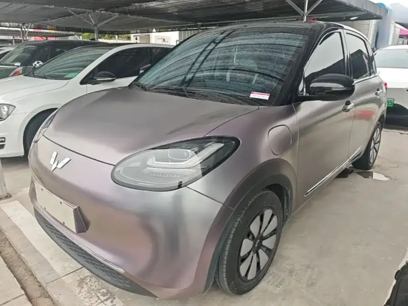 Wuling Bingo, 2023