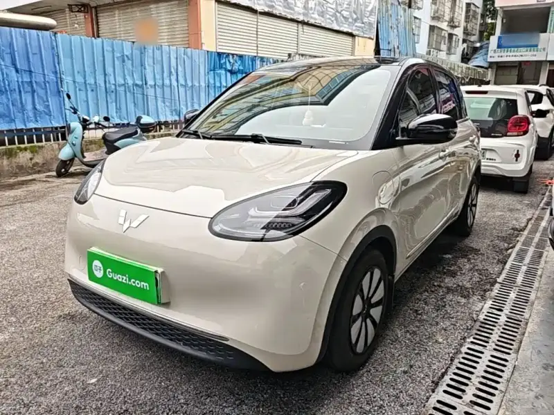 Wuling Bingo, 2024