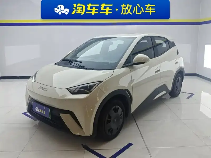 BYD Seagull, 2025