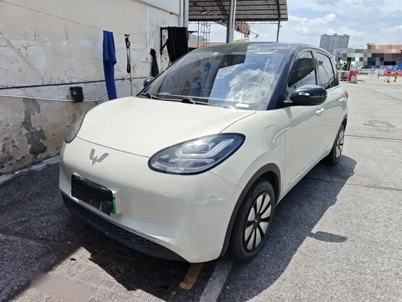 Wuling Bingo, 2024