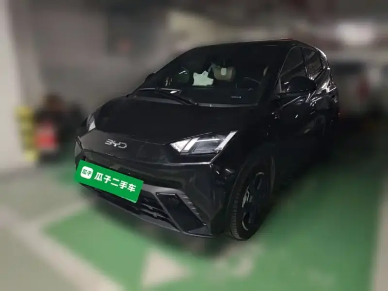 BYD Seagull, 2024