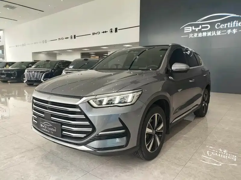 BYD Pro New Energy, 2022