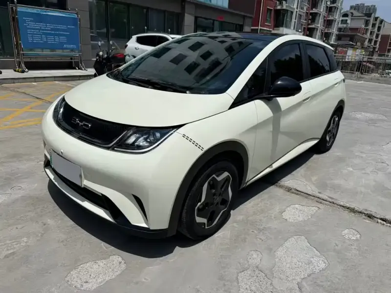 BYD Dolphin, 2022