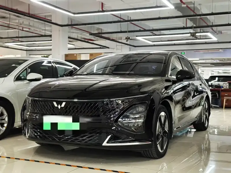 Wuling Xingguang, 2024