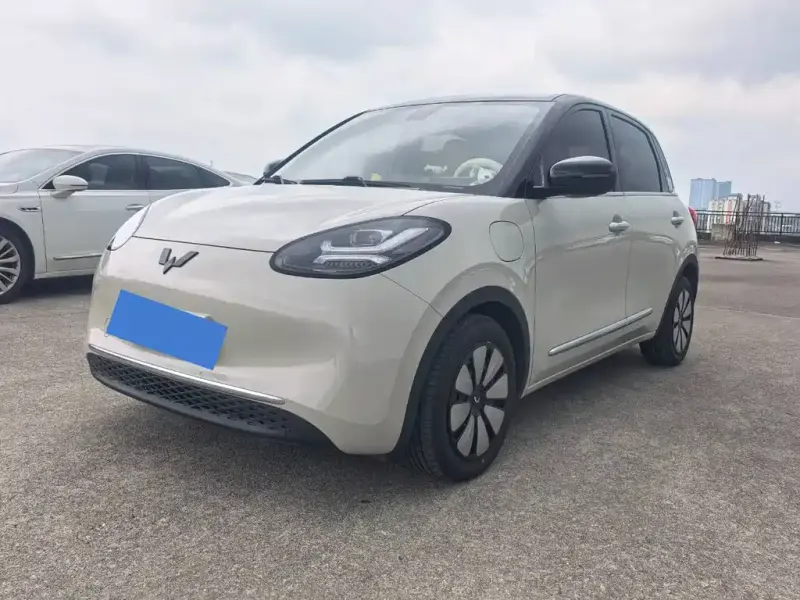 Wuling Bingo, 2025