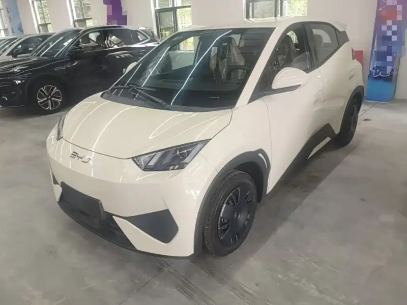 BYD Seagull, 2026