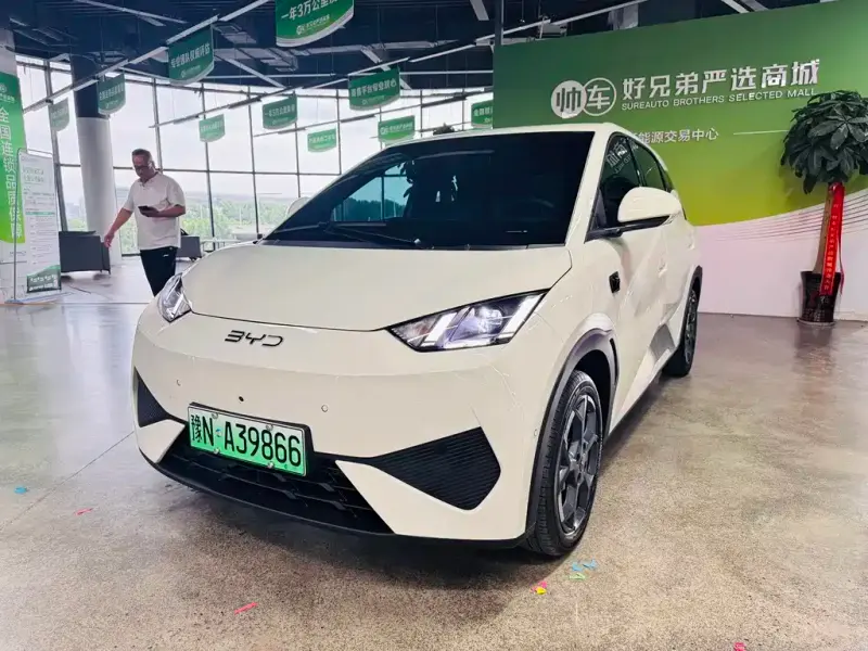BYD Seagull, 2025