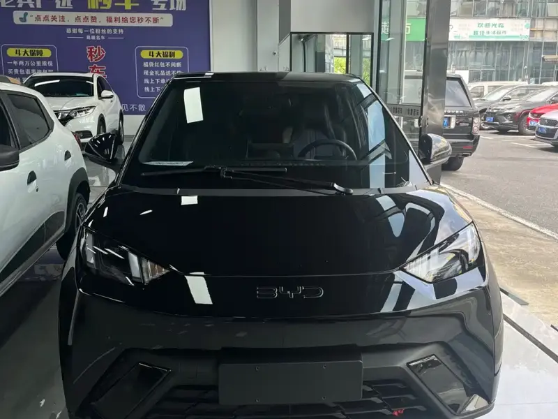 BYD Seagull, 2024