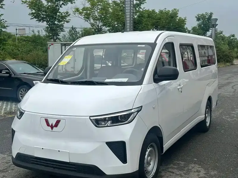 Wuling Yangguang, 2026