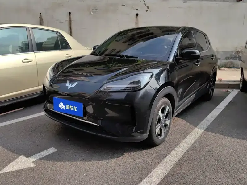 Wuling Bingo PLUS, 2024
