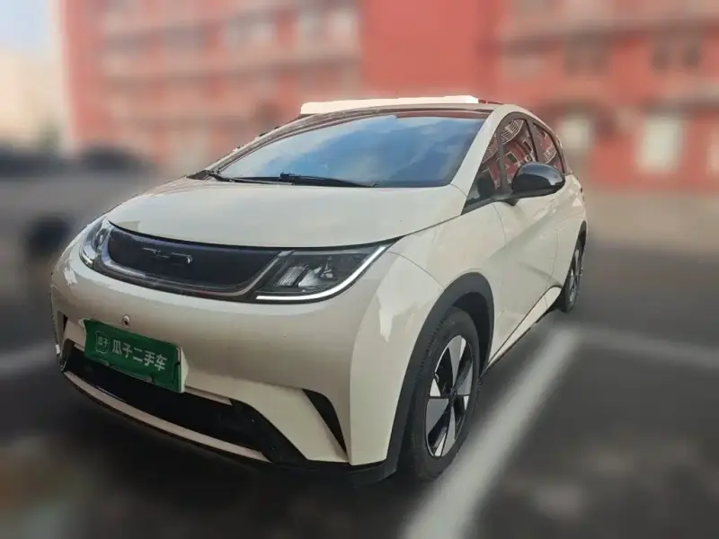 BYD Dolphin, 2024