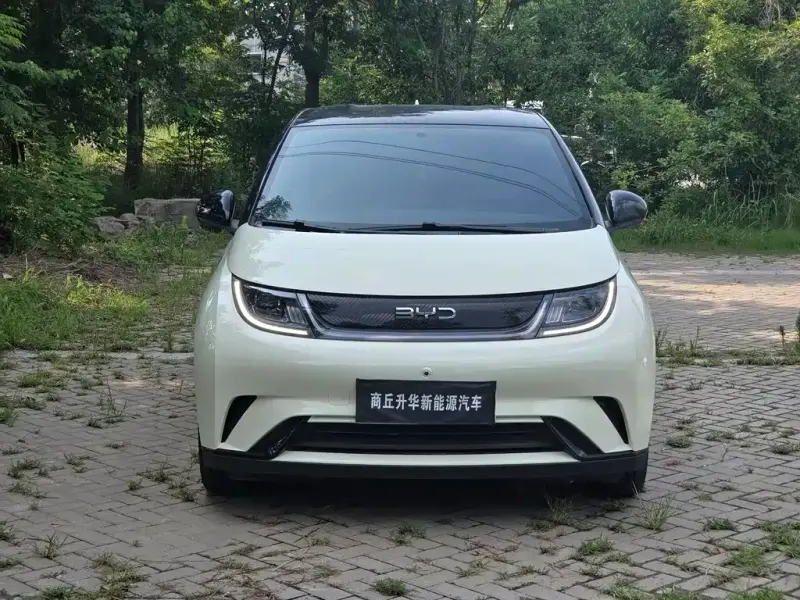 BYD Dolphin, 2025