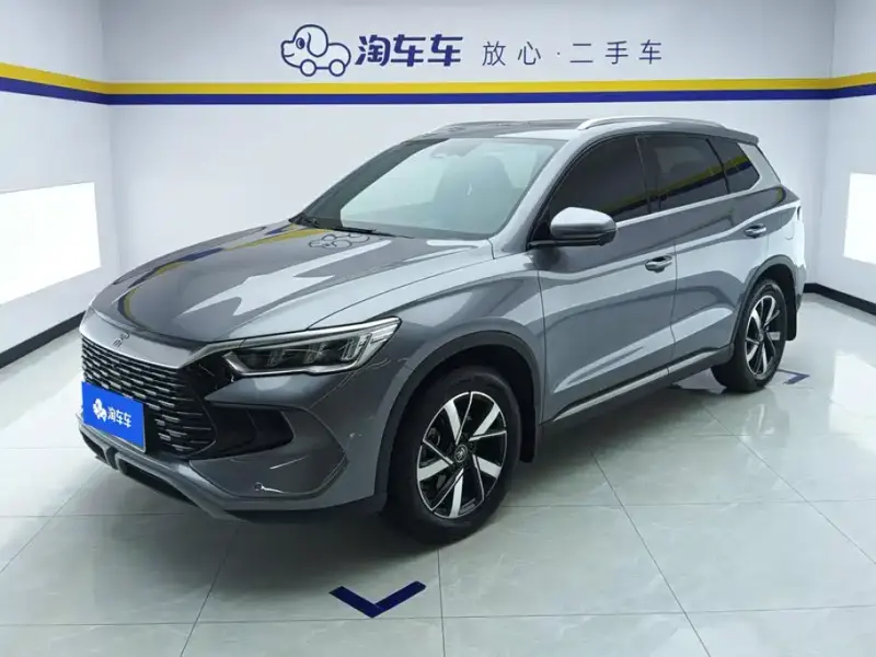 BYD Pro New Energy, 2023