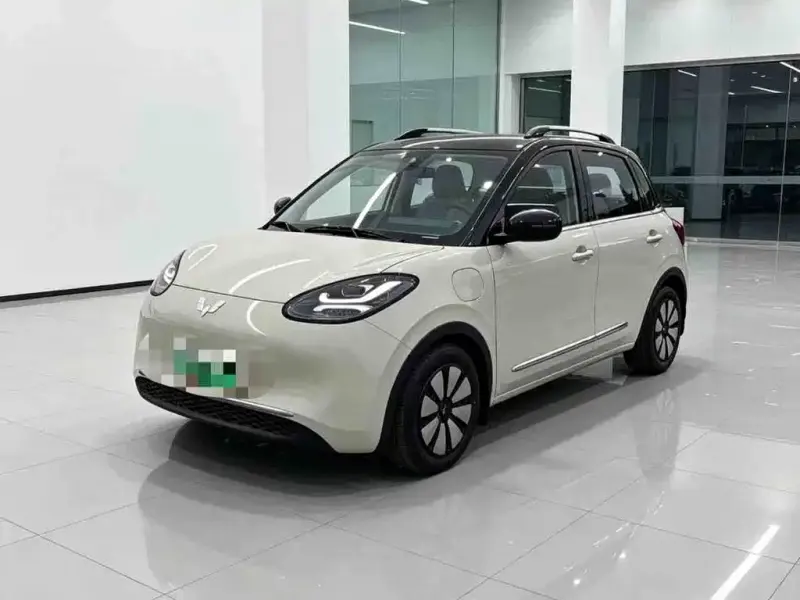 Wuling Bingo, 2024