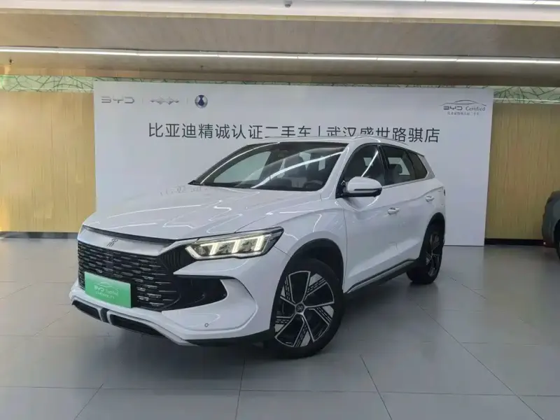BYD Pro New Energy, 2024