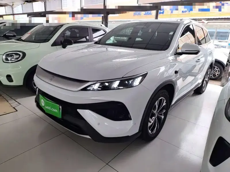 BYD Pro New Energy, 2026