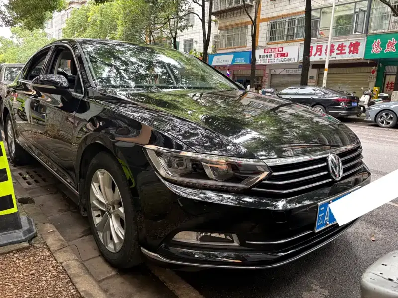 Volkswagen Magotan, 2019