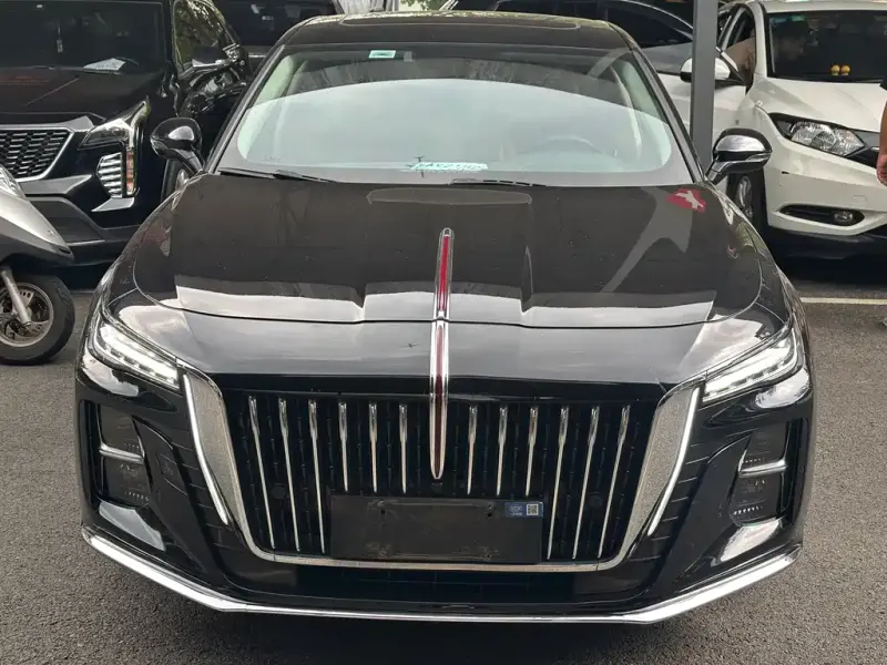 Hongqi H5, 2024