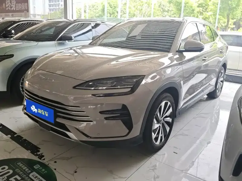 BYD PLUS New Energy, 2024