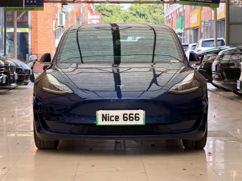 Tesla Model 3, 2020