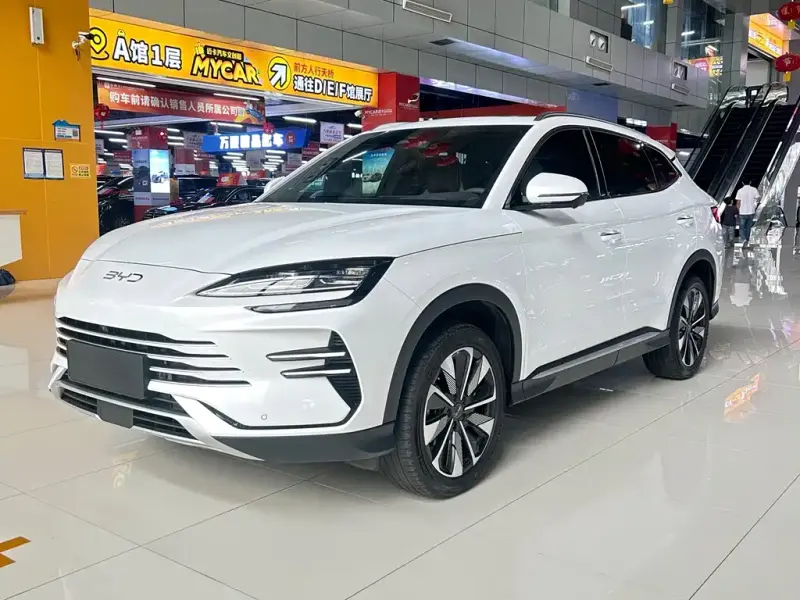 BYD PLUS New Energy, 2024